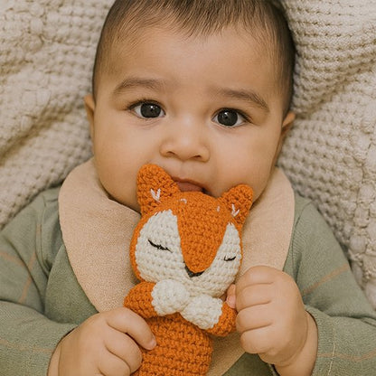 bébé prend son Doudou bebe
